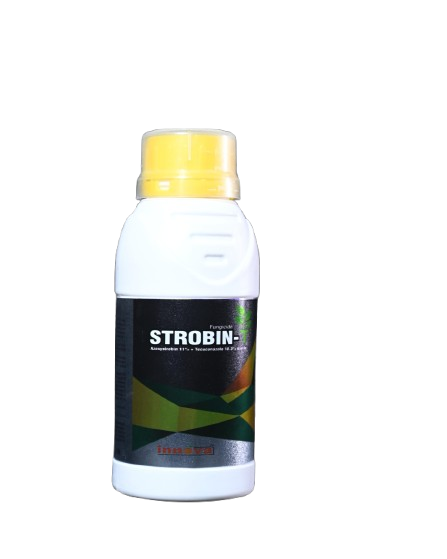 Innova agro chemicals-STROBIN-T